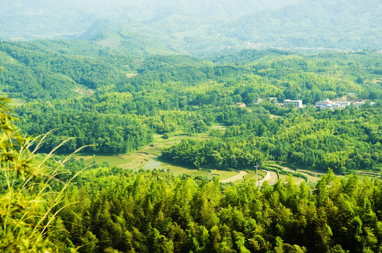 固始锁口梯田