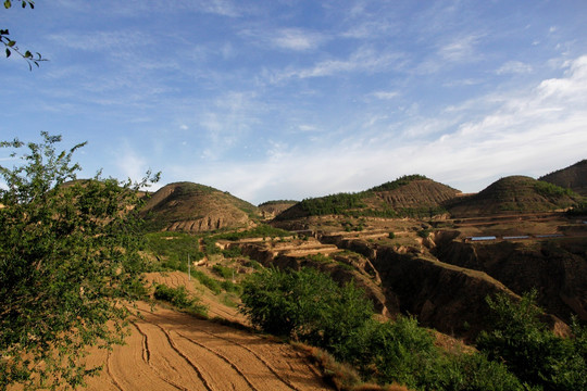 绿色山区