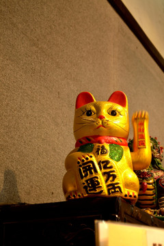 招财猫 财富 财神 金钱