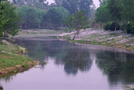 一条小河