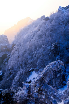 泰山雪景