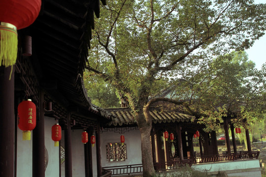 东湖