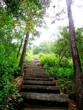 山石阶路