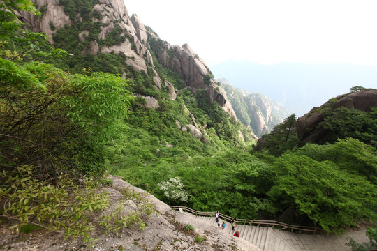 黄山 莲花峰 山路 峭壁 悬崖