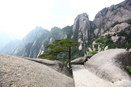 黄山 莲花峰 山路 峭壁 悬崖