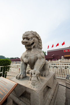 天安门前的石狮子