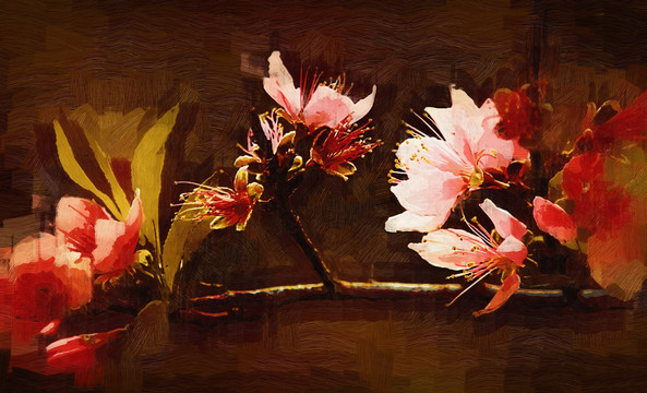 花卉装饰画 （合层）
