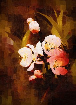 小桃花 （合层）