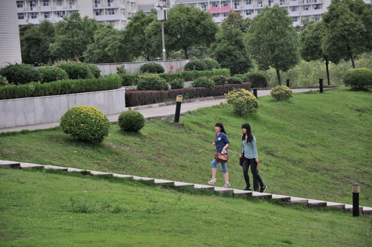 合肥工业大学 合工大校园道路