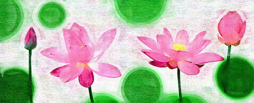 荷花 （合层）