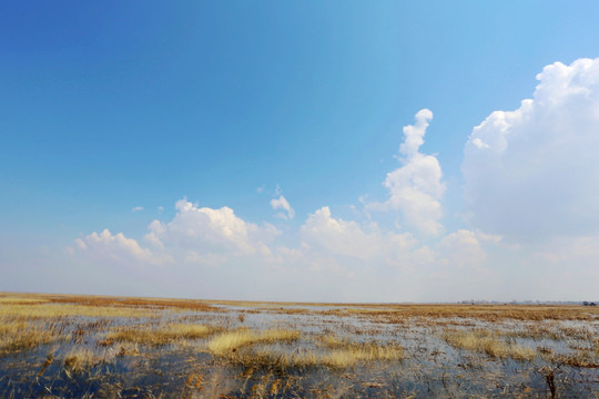 扎龙湿地自然保护区