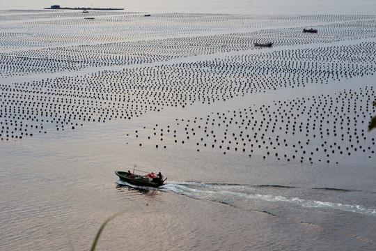 海水养殖场