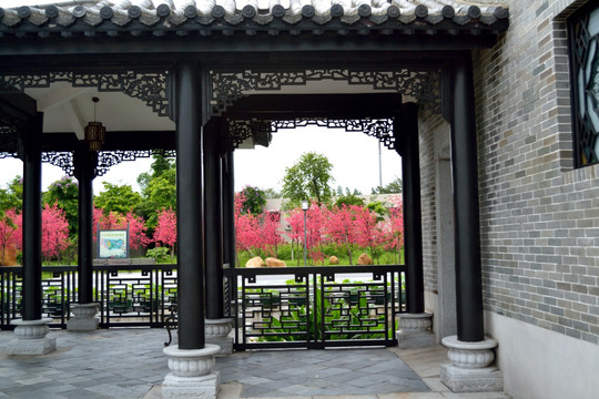 古亭 亭子 古建筑  走廊