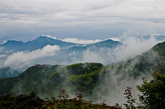 高山云雾