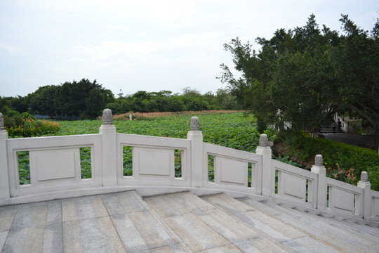 石桥 桥 风景 栏杆