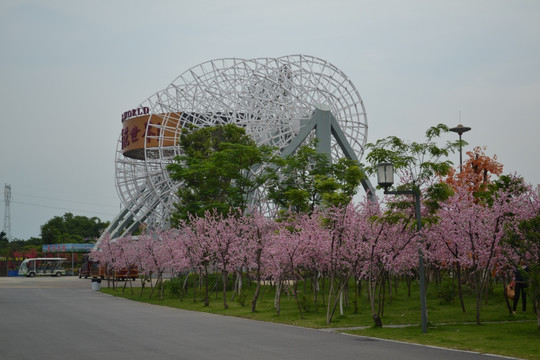 桃花 桃树 公园 路灯