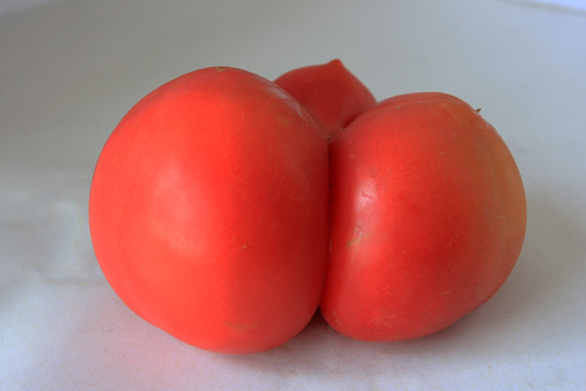 怪形西红柿