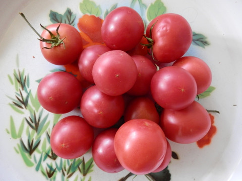 西红柿 番茄 蔬菜