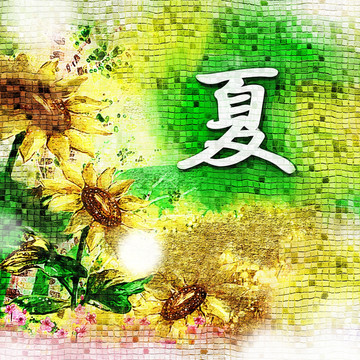 夏季 （合层）
