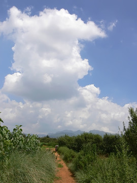 山间小路