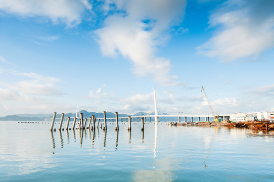 深圳湾公园景色