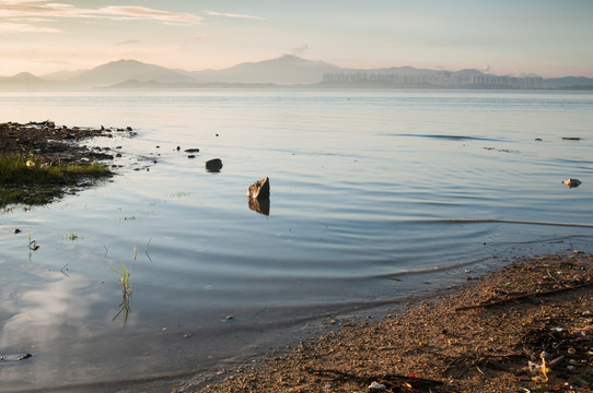 深圳湾晨景