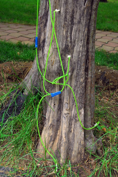 树木营养液 吊瓶 吊针液