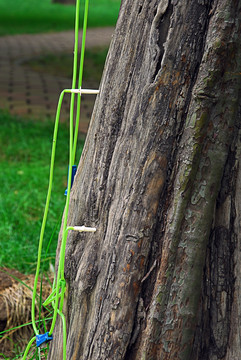 树木营养液 吊瓶吊针液