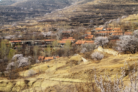 春天的小山村