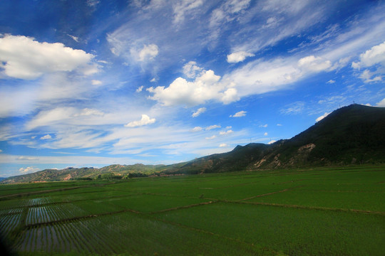 山间田野