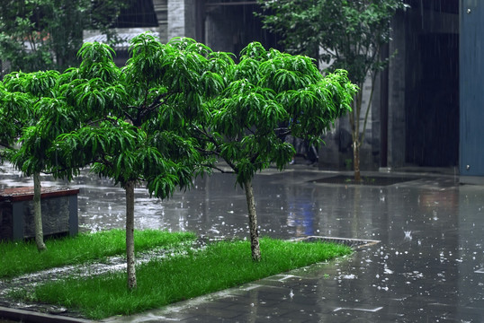 下雨天