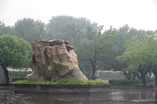 雨天天津北宁公园石雕盆景树