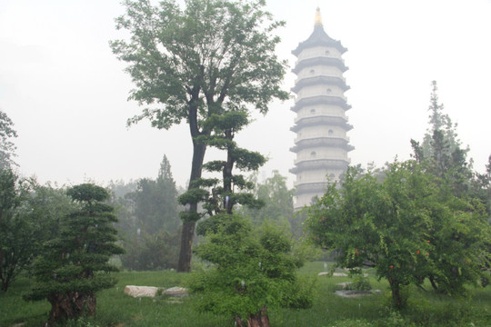 雨天天津北宁公园风景致远塔