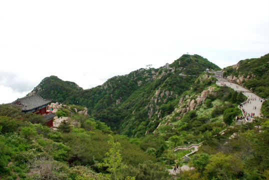 泰山   云海  泰山云海