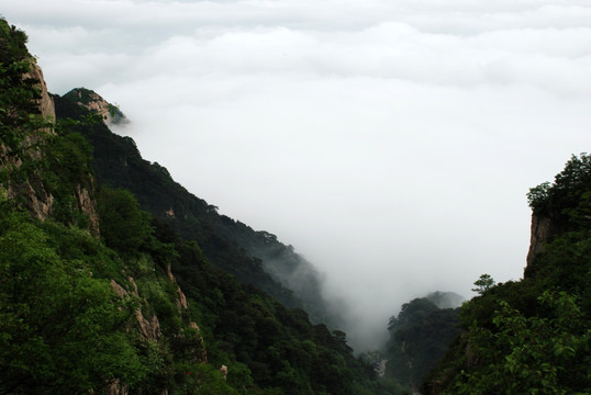 泰山   云海  泰山云海