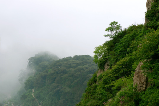 泰山   云海  泰山云海