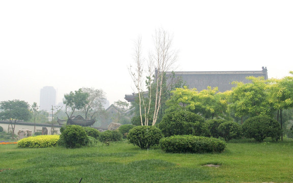 雨天北宁公园绿地树木盆景建筑