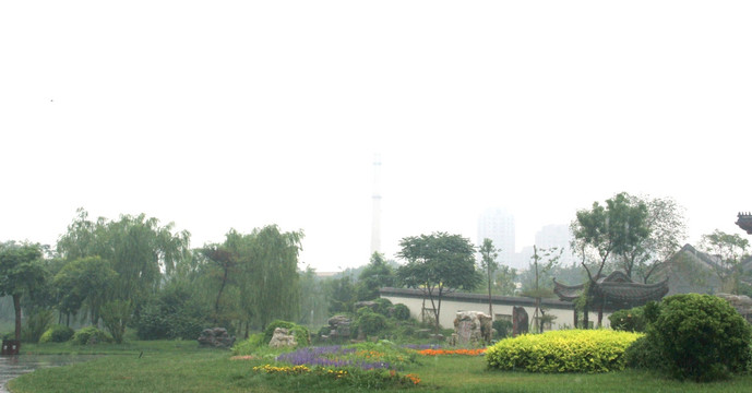 雨天北宁公园树木绿地
