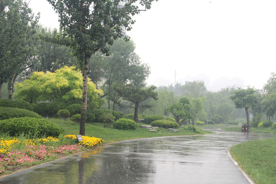 雨天北宁公园花坛绿地道路