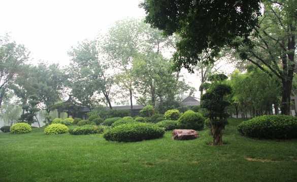 雨天北宁公园绿地湖水树木