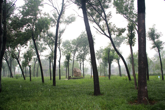 雨天北宁公园绿地湖水树木