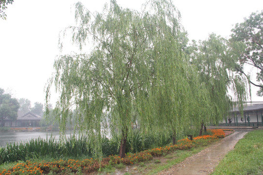 雨天北宁公园绿地湖水