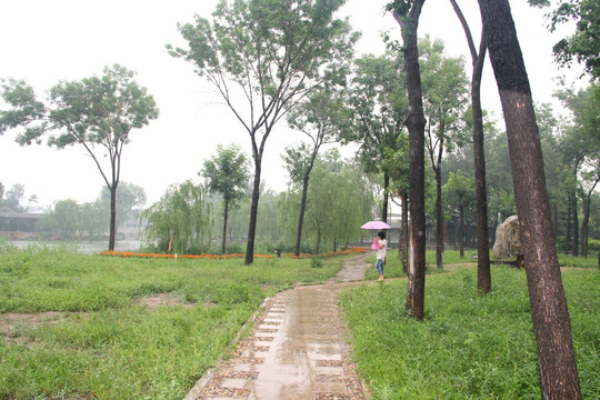 雨天天津北宁公园风景林荫道绿地