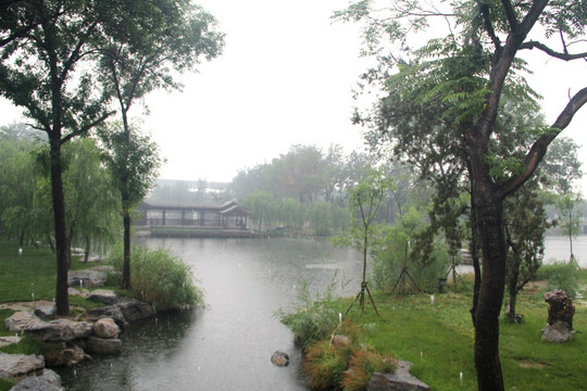 雨天天津北宁公园荷塘桥