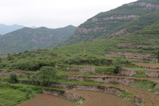 北方梯田