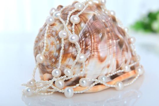 珍珠项链 海螺 大小珍珠 串珠
