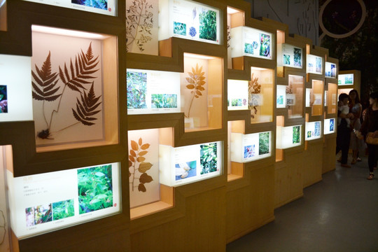 展柜