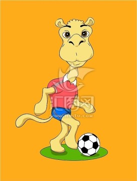 足球骆驼人