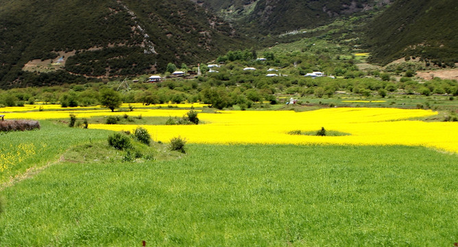 西藏旅游景区巴松措