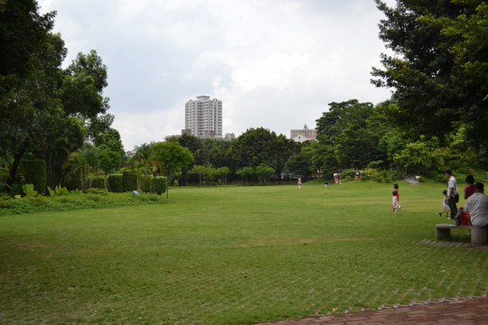 草坪